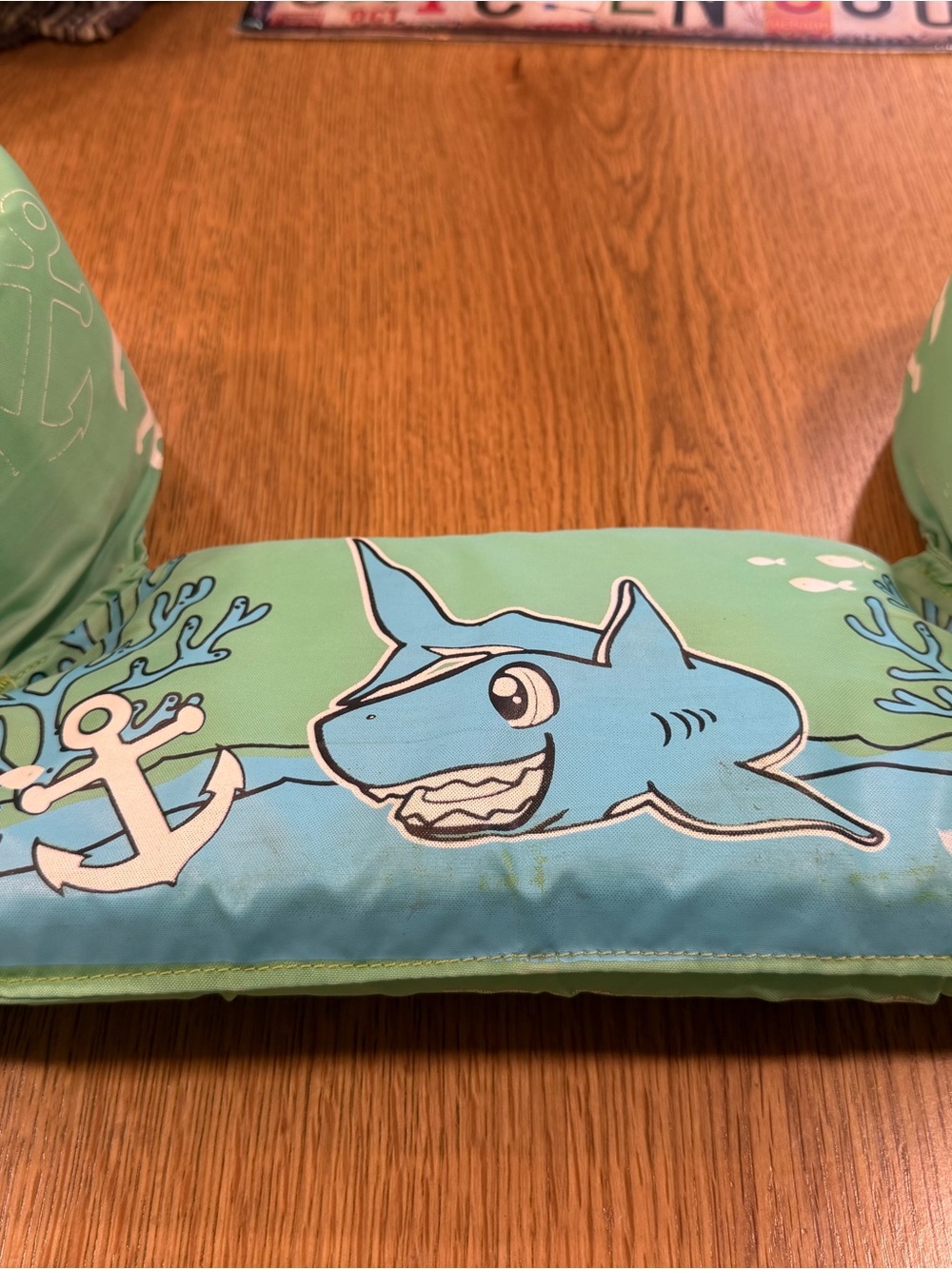 Kids Swim Float with Blue Shark Graphic - Mint Green/Blue